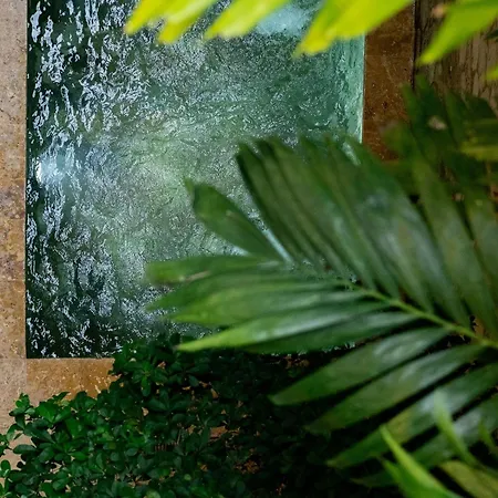 Сasa de vacaciones Casa Delia - Boutique House *